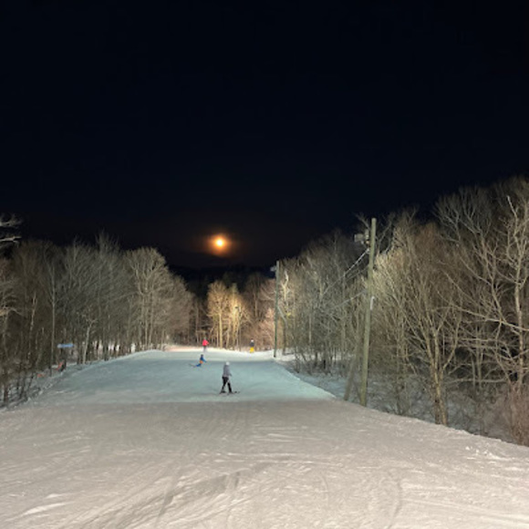 Meet your Posher, William - Picture 1 of 1